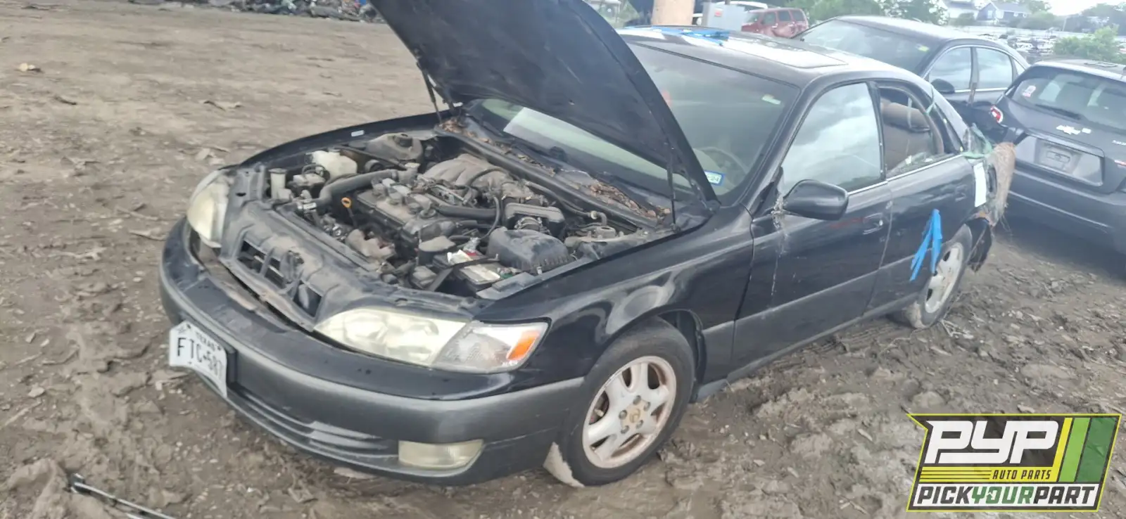 Photo of 1999 Lexus Es300