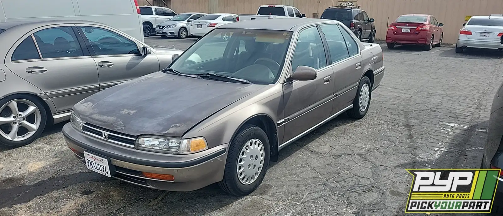 Photo of 1993 Honda Accord