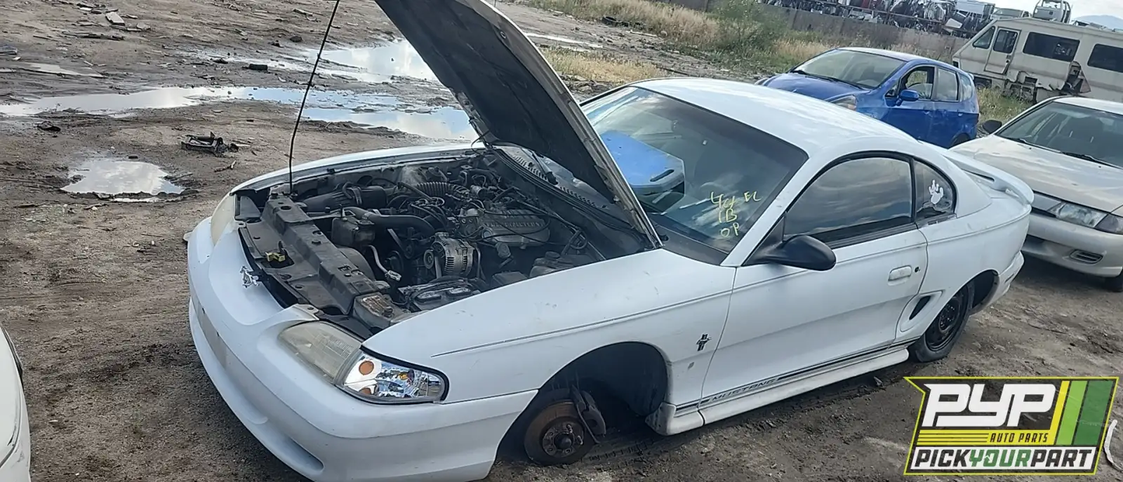 Photo of 1998 Ford Mustang