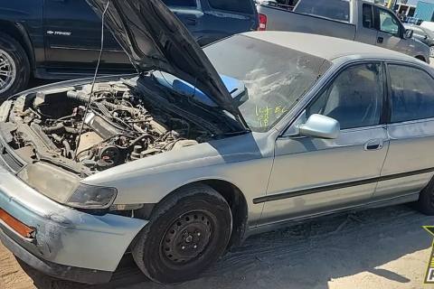 Photo of 1995 Honda Accord