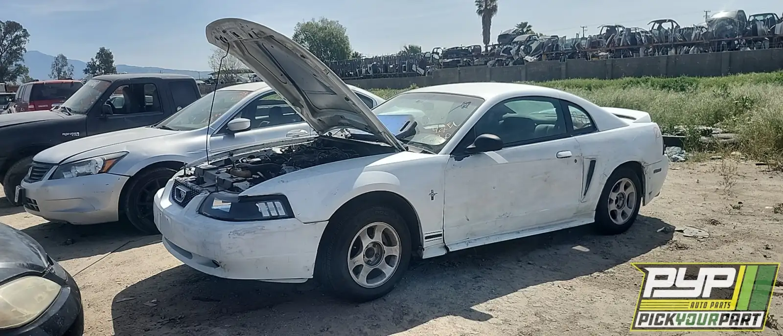 Photo of 1999 Ford Mustang
