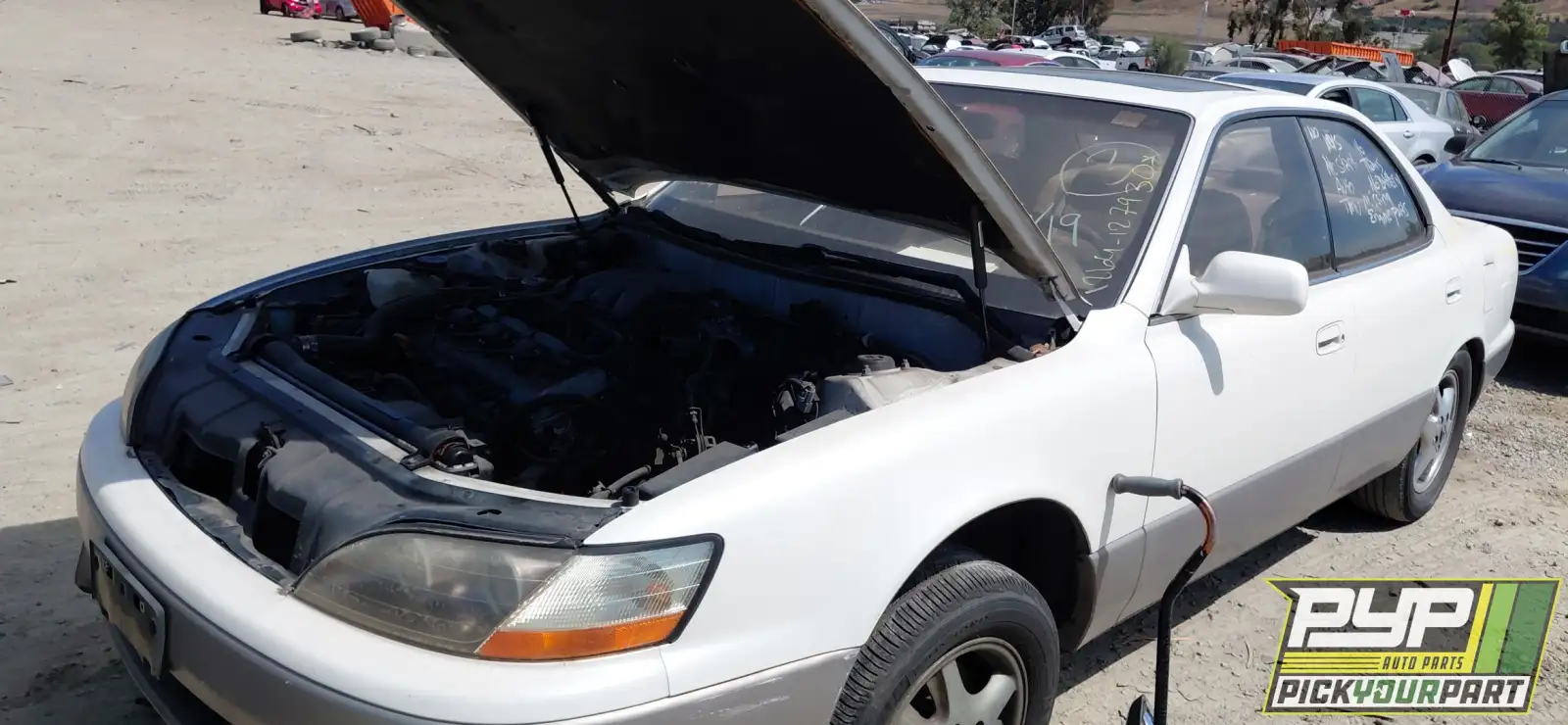 Photo of 1996 Lexus Es300