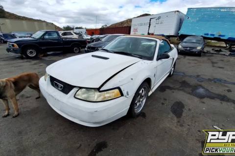 Photo of 2000 Ford Mustang