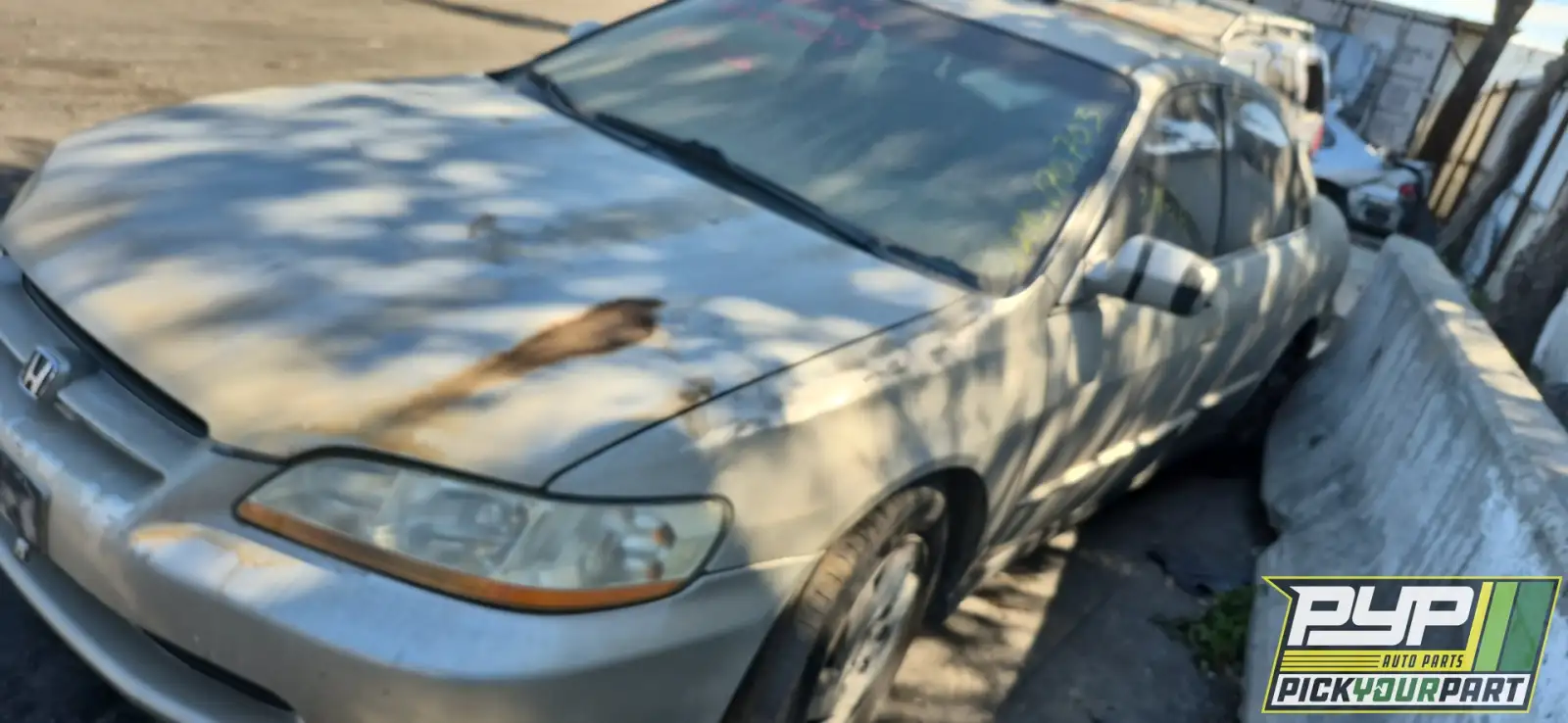 Photo of 1999 Honda Accord