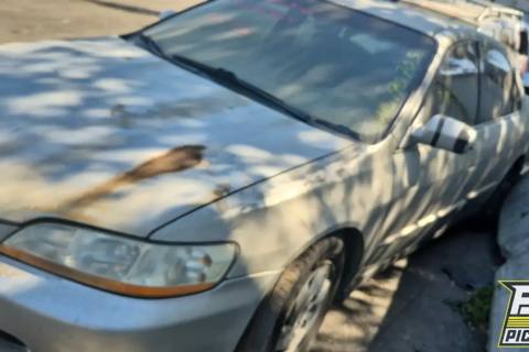 Photo of 1999 Honda Accord