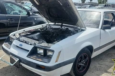 Photo of 1986 Ford Mustang