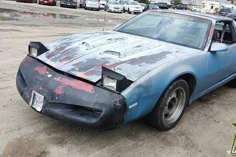Photo of 1991 Pontiac Firebird