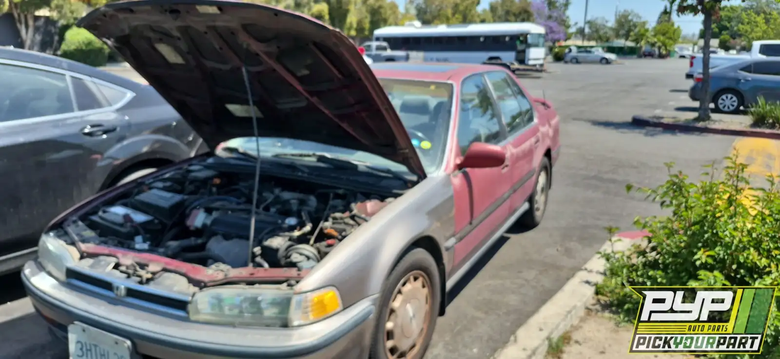 Photo of 1993 Honda Accord