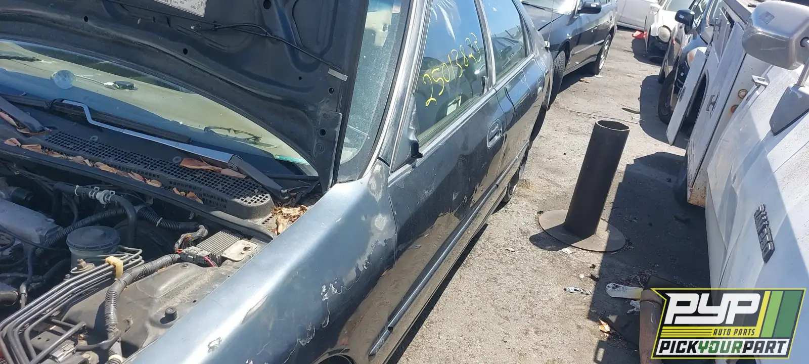 Photo of 1995 Honda Accord