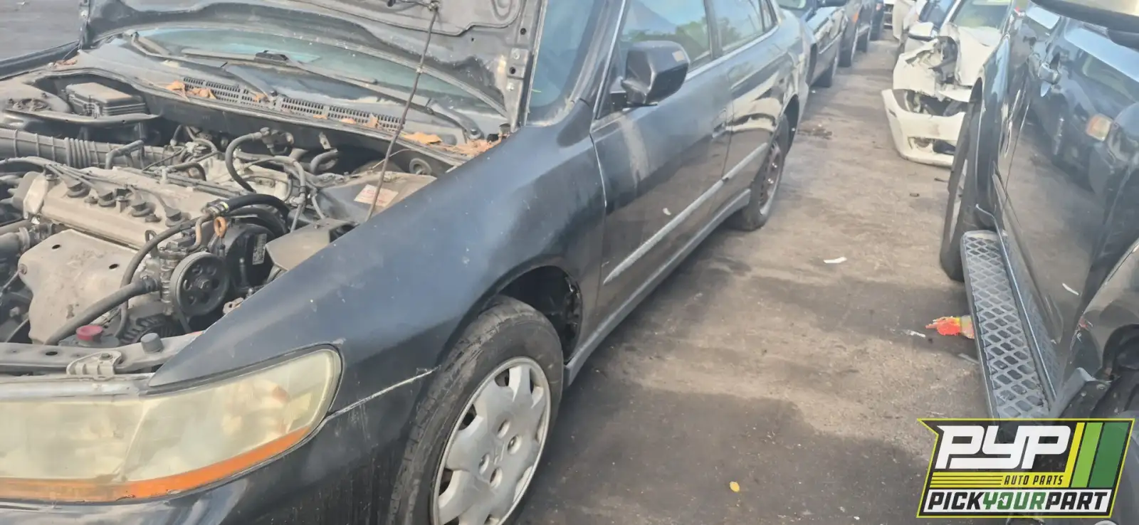 Photo of 1998 Honda Accord