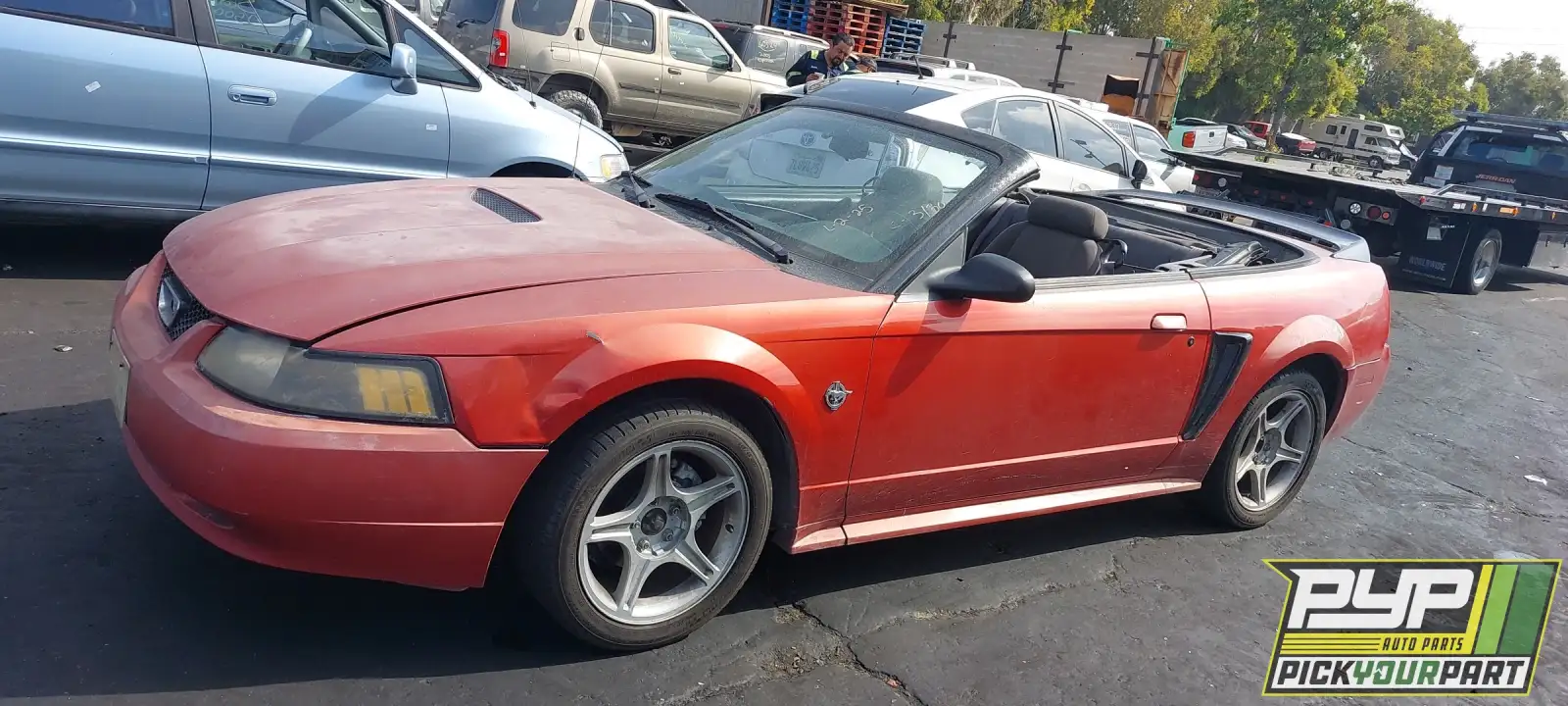 Photo of 1999 Ford Mustang
