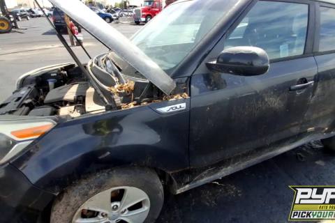 Photo of 2016 Kia Soul