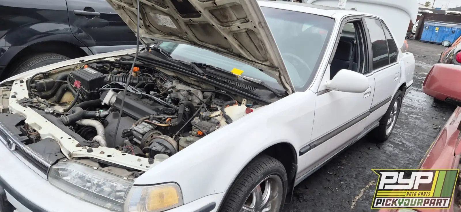 Photo of 1993 Honda Accord