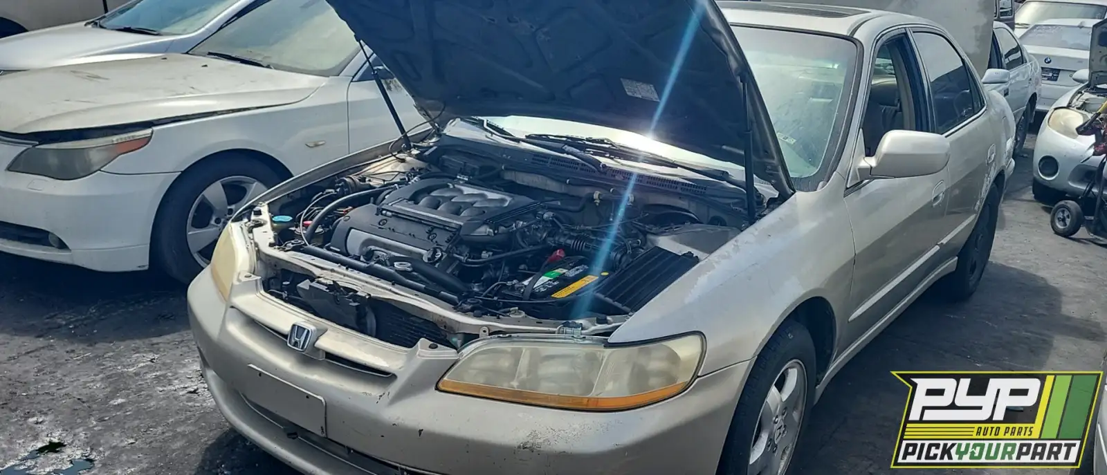 Photo of 1999 Honda Accord