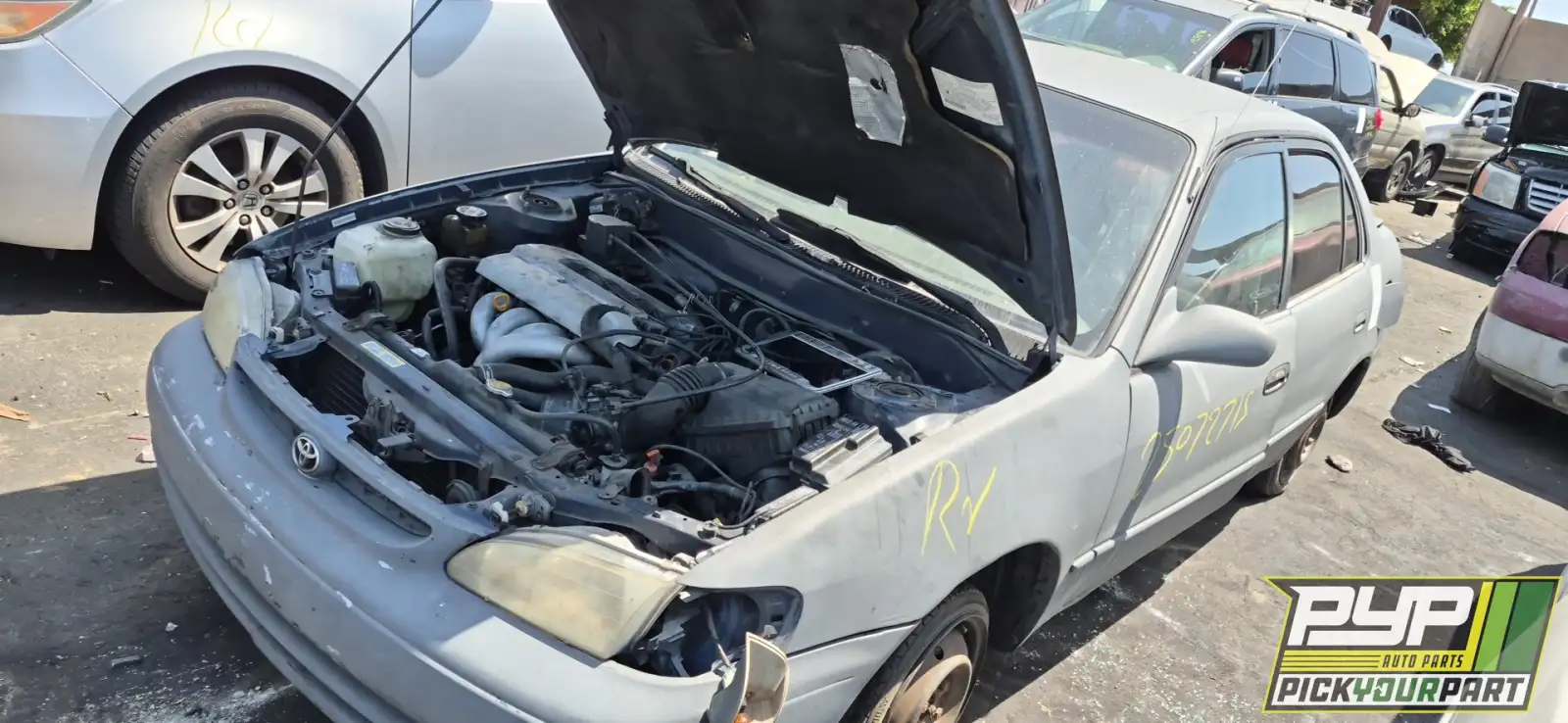 Photo of 1998 Toyota Corolla