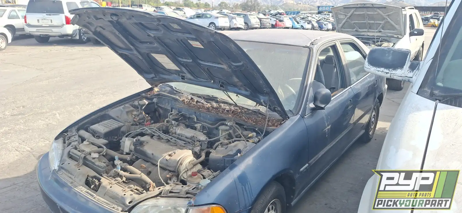 Photo of 1994 Honda Civic