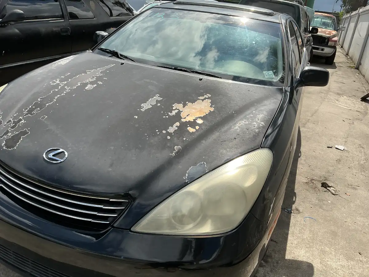 Photo of 2003 Lexus Es 300