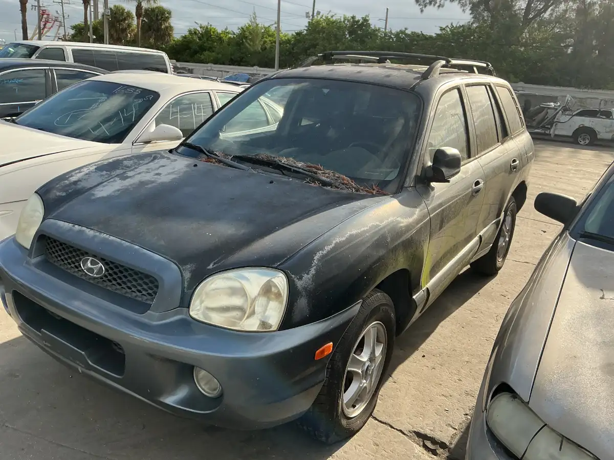 Photo of 2003 Hyundai Santa Fe