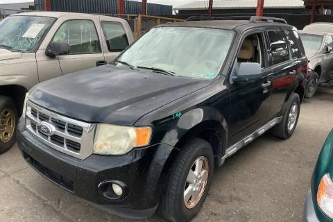 Photo of 2010 Ford Escape
