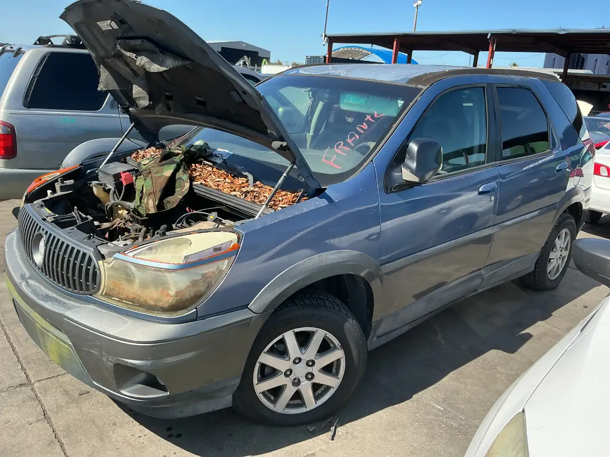 Photo of 2002 Buick Rendezvous