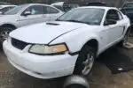 Photo of 1999 Ford Mustang