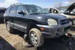 Photo of 2006 Hyundai Santa Fe