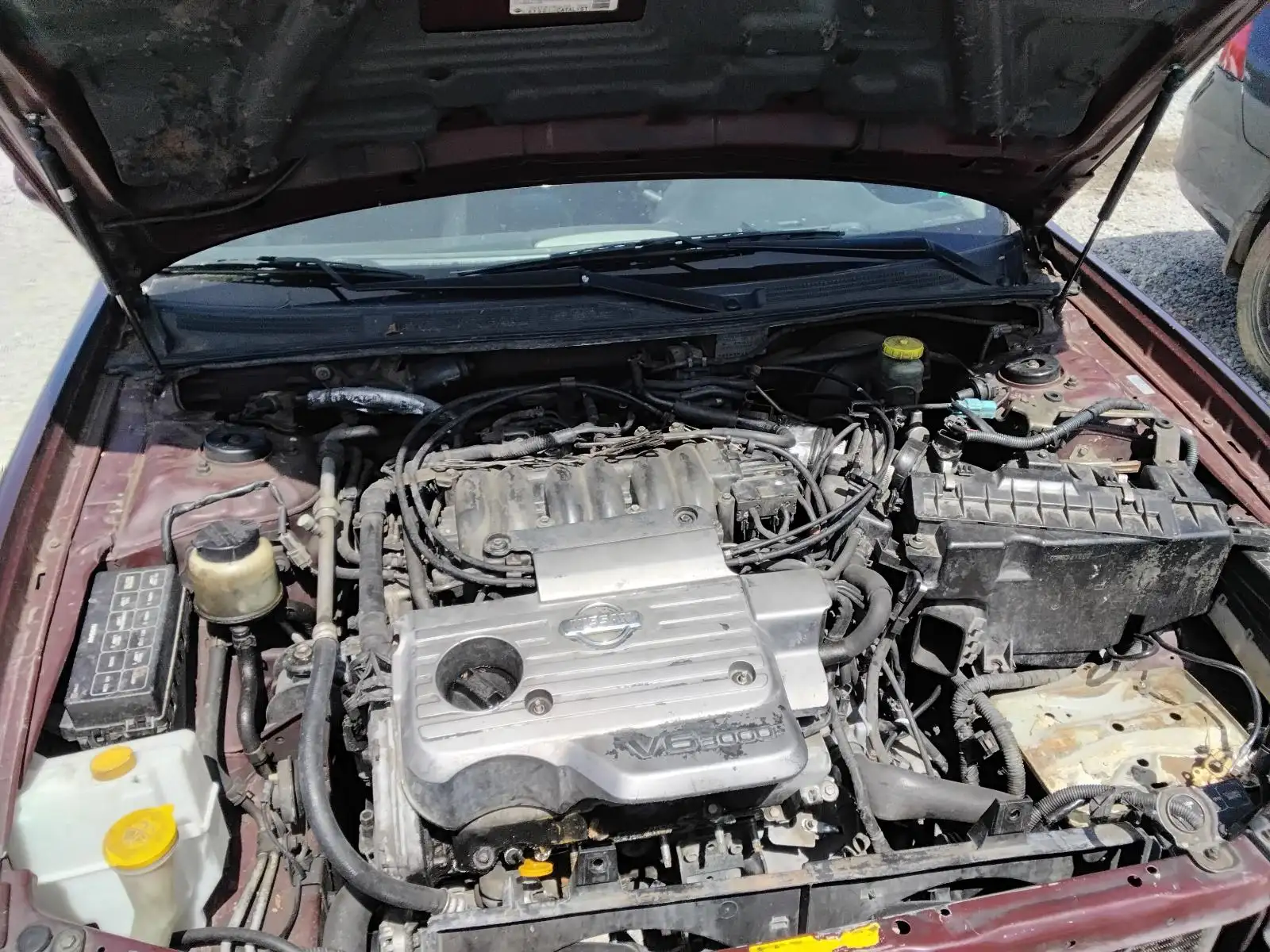 Photo of 2001 Datsun Maxima