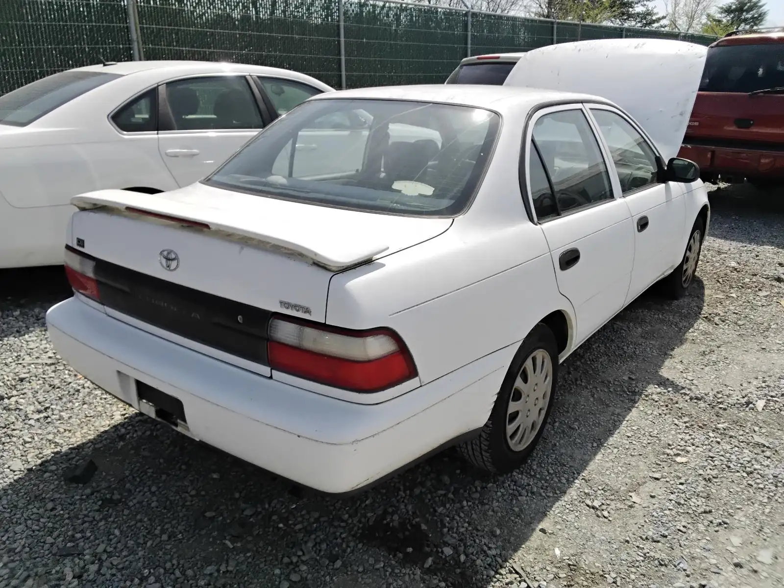 Photo of 1997 Toyota Corolla