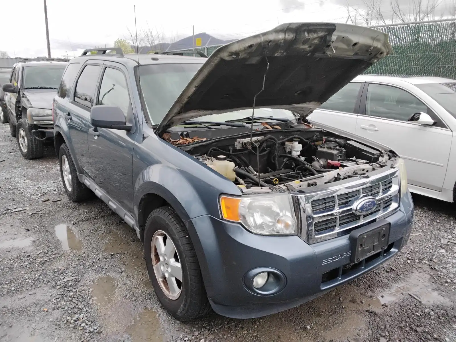 Photo of 2011 Ford Escape