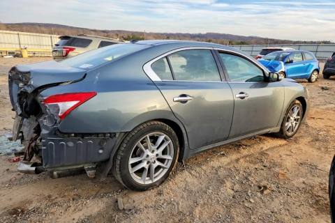 Photo of 2010 Datsun Maxima