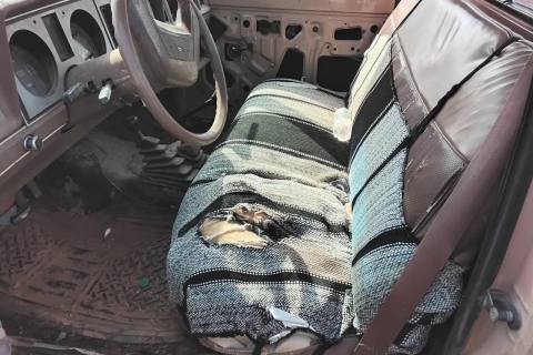 Photo of 1987 Ford Ranger