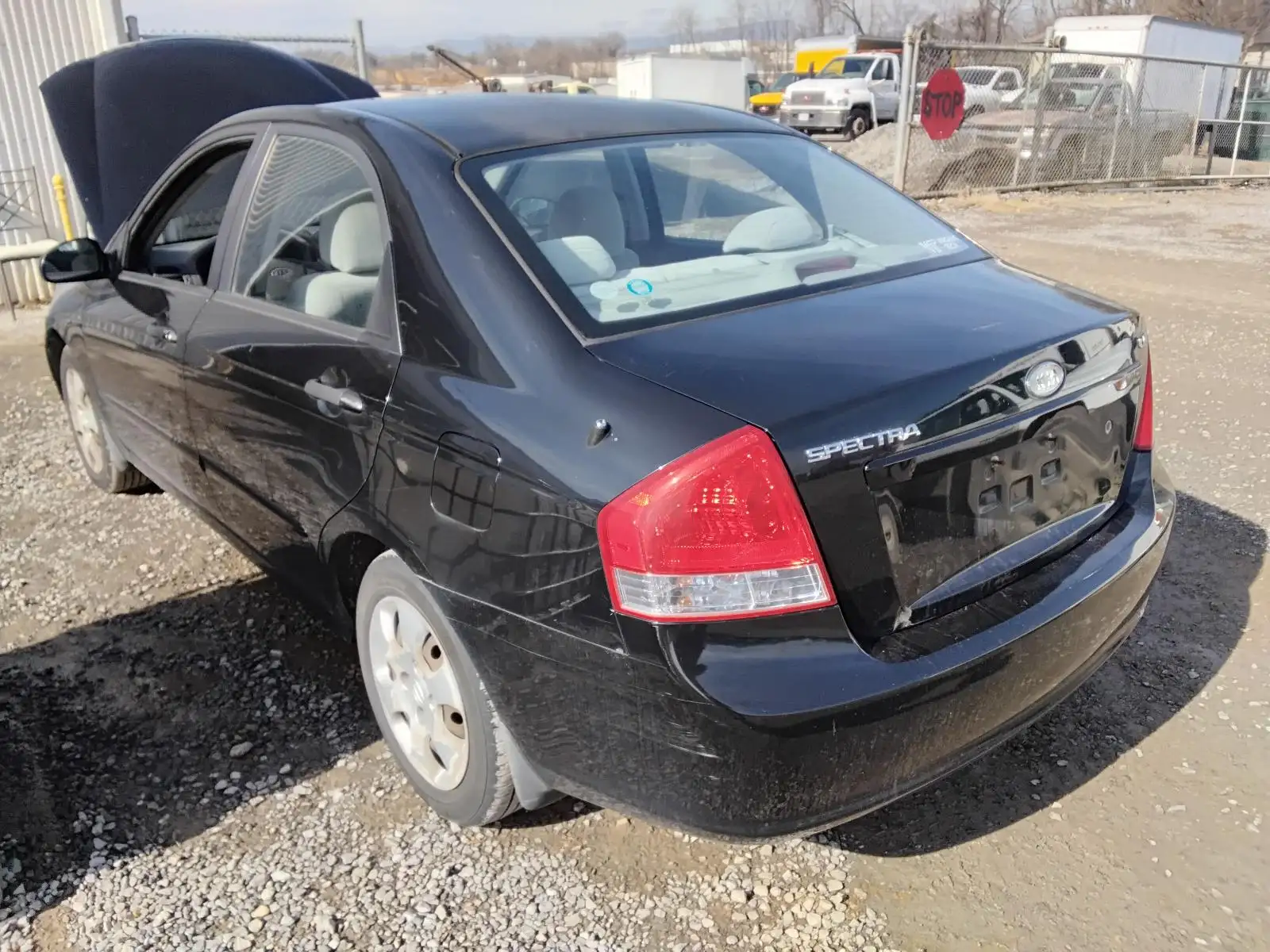 Photo of 2009 Kia Spectra