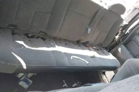 Photo of 2006 Chevrolet Silverado 1500 Pickup