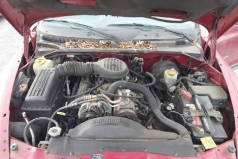 Photo of 1999 Dodge Dakota