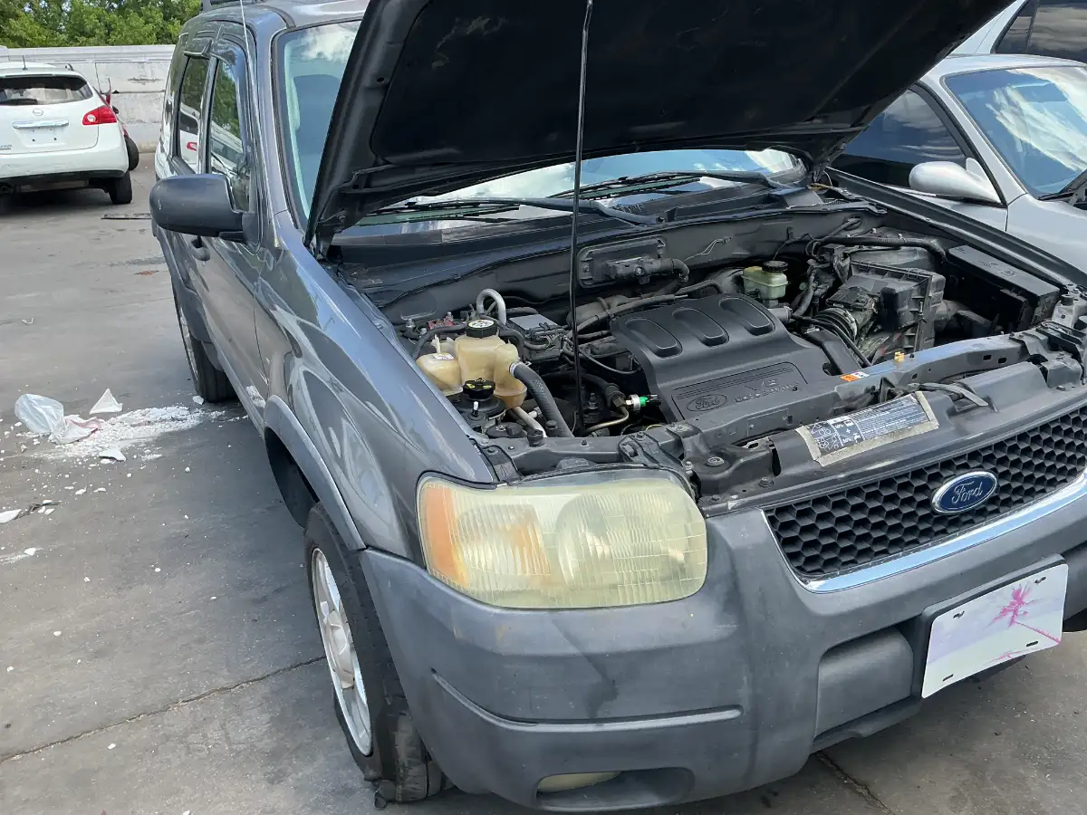 Photo of 2004 Ford Escape