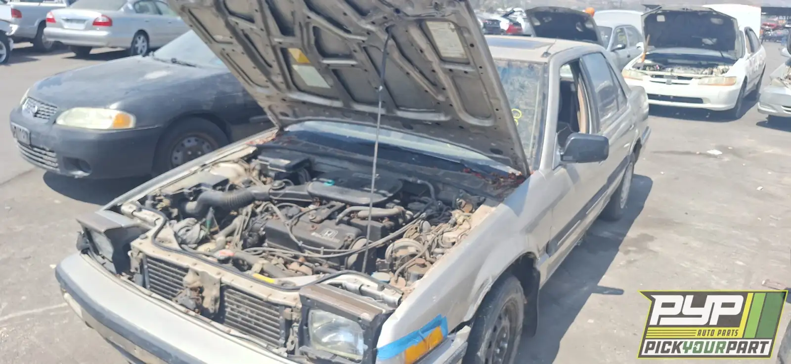 Photo of 1988 Honda Accord
