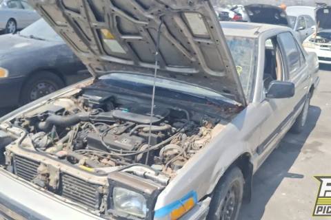 Photo of 1988 Honda Accord