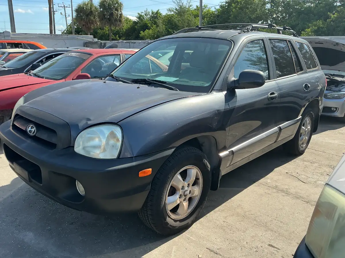 Photo of 2006 Hyundai Santa Fe