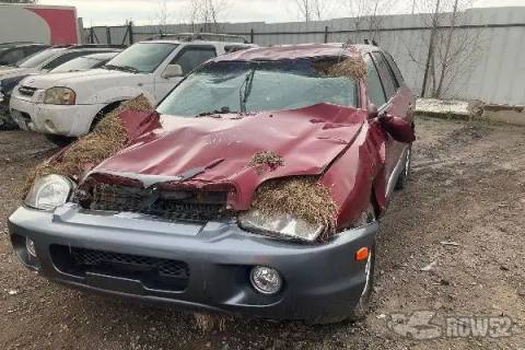 Photo of 2003 Hyundai Santa Fe