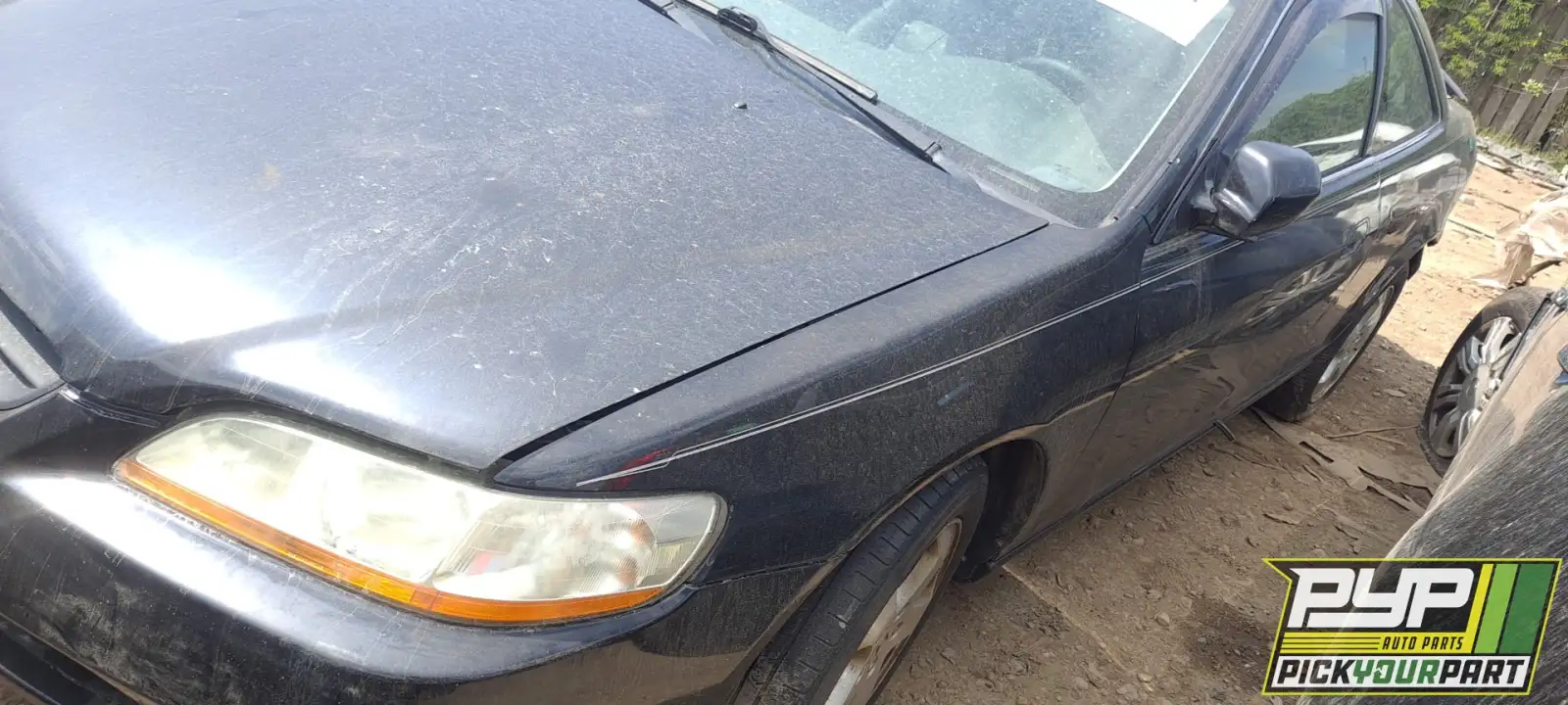 Photo of 1999 Honda Accord