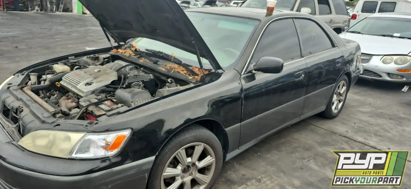 Photo of 1999 Lexus Es300