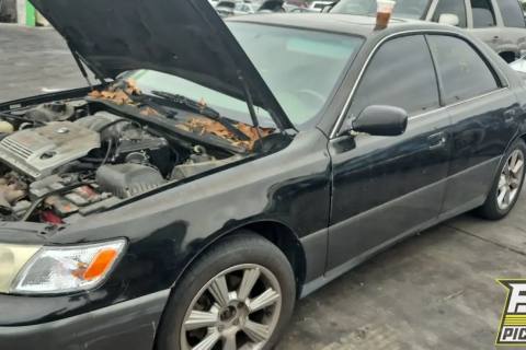 Photo of 1999 Lexus Es300