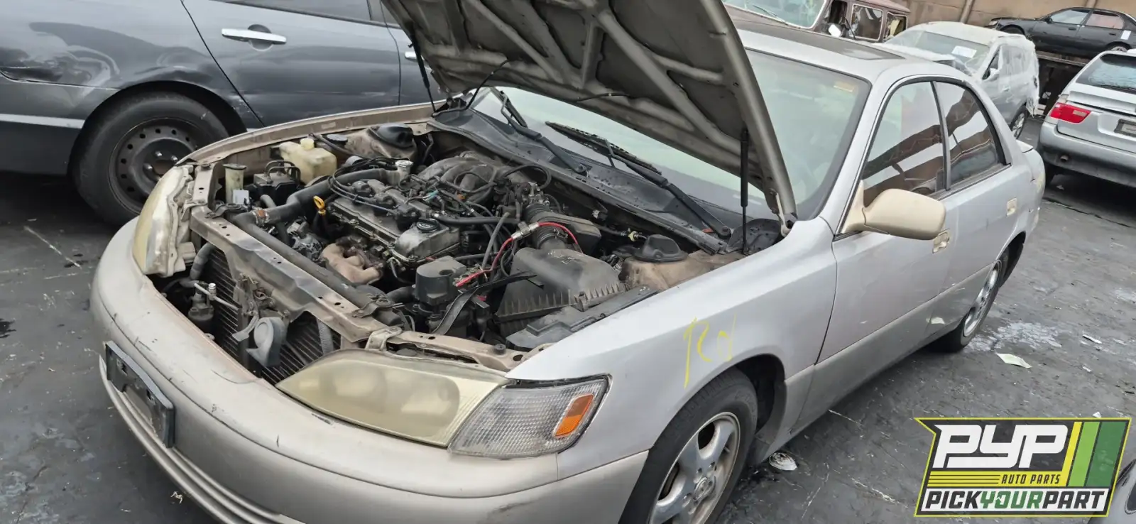Photo of 1998 Lexus Es300