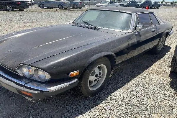 Photo of 1984 Jaguar XJS