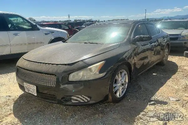 Photo of 2010 Nissan Maxima