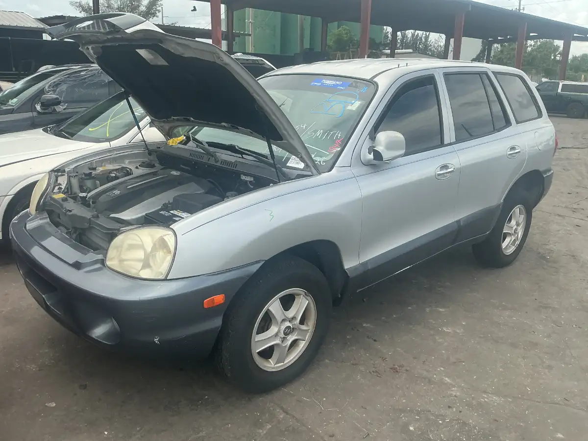 Photo of 2004 Hyundai Santa Fe
