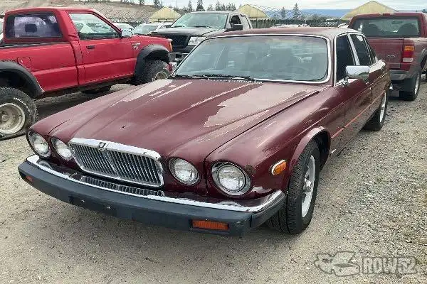 Photo of 1984 Jaguar XJ12