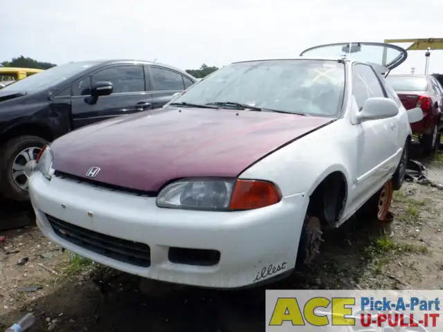 Photo of 1994 Honda Civic