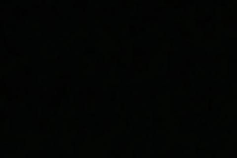 Photo of 2010 Dodge Grand Caravan