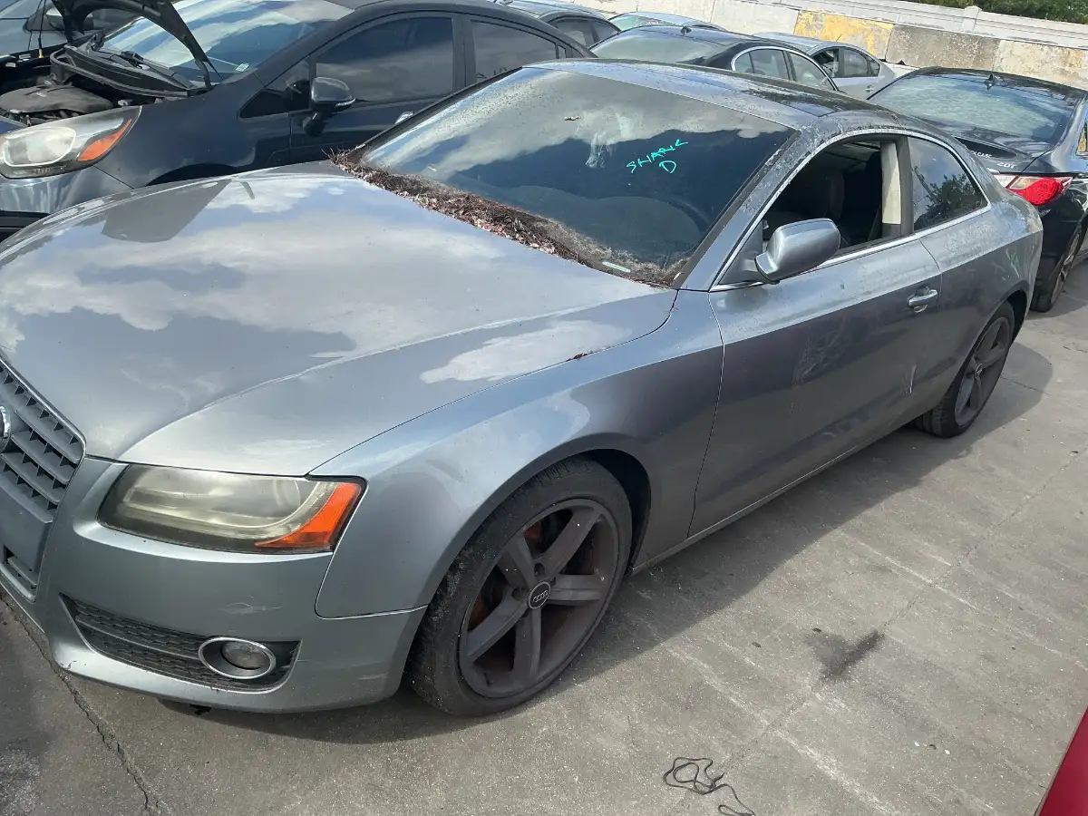 Photo of 2010 Audi A5